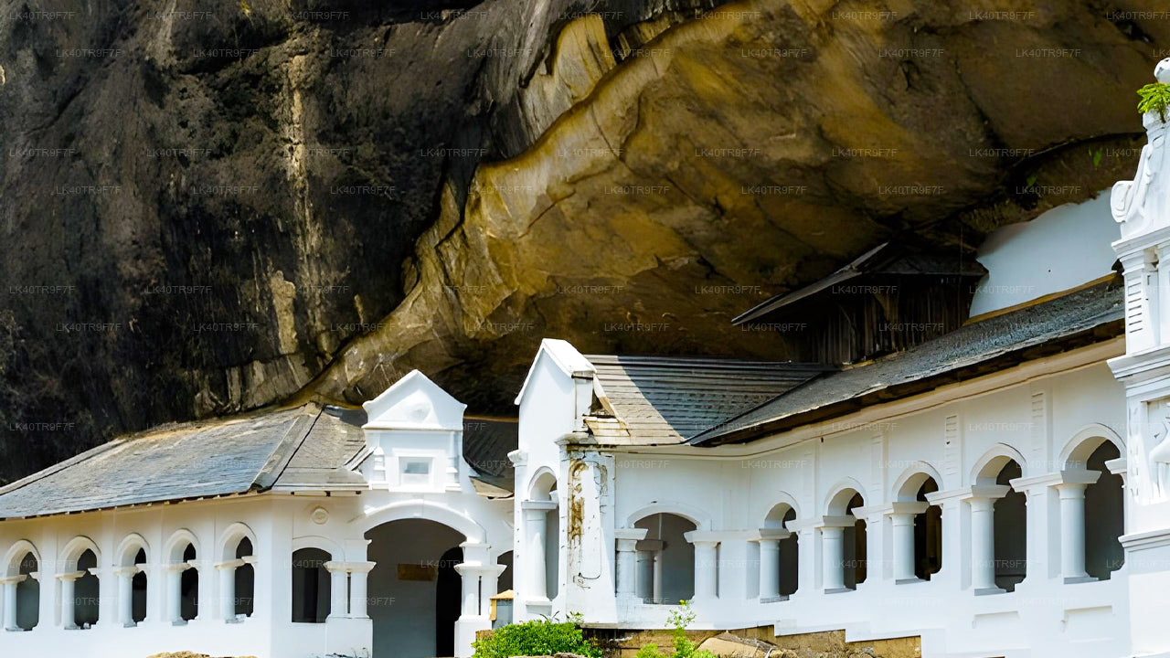 コロンボからシギリヤへの観光付きプライベート送迎