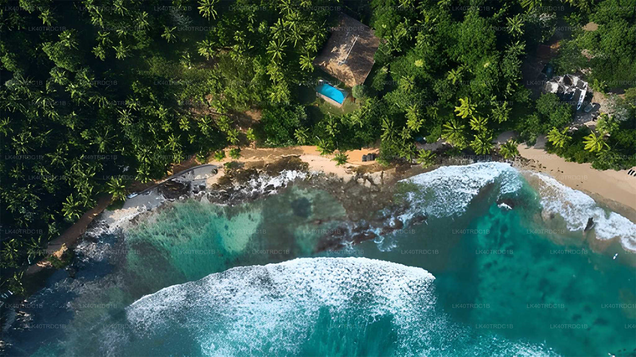 ネゴンボからヒリケティヤへの観光付きプライベート送迎