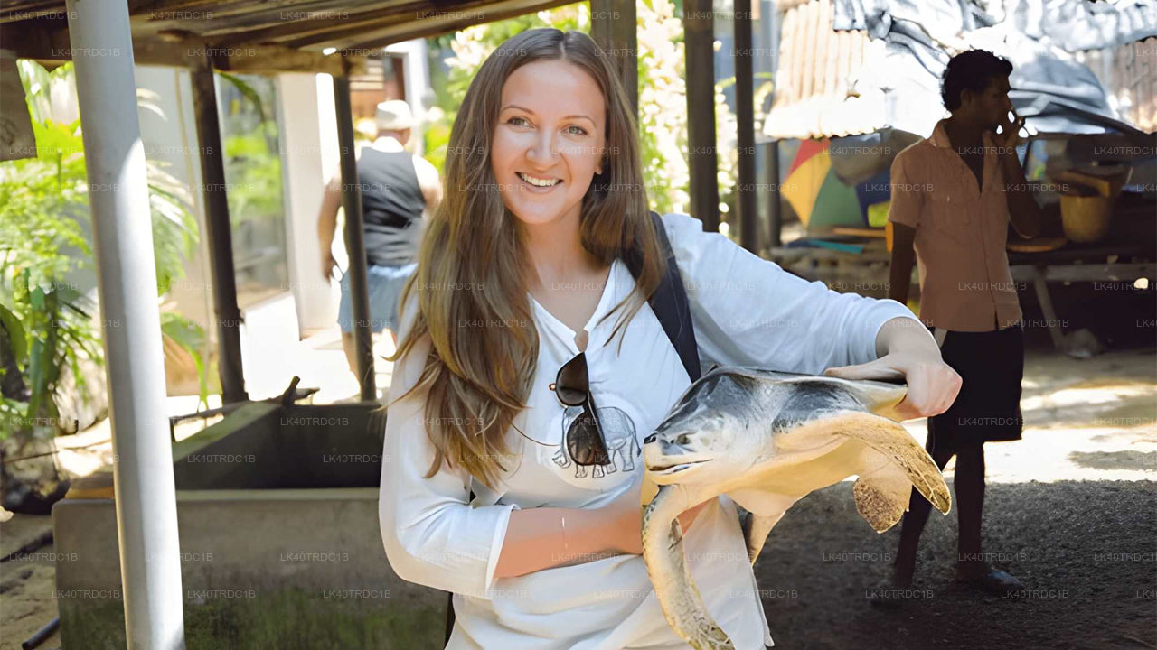 ネゴンボからヒリケティヤへの観光付きプライベート送迎