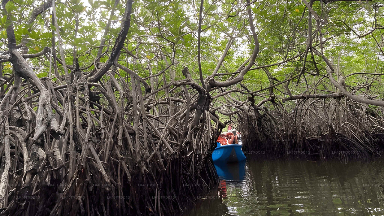 ネゴンボからヒリケティヤへの観光付きプライベート送迎