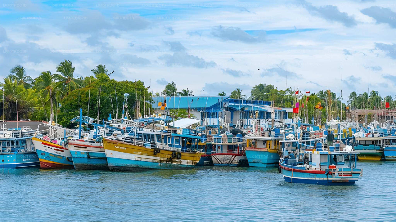 ネゴンボからヒリケティヤへの観光付きプライベート送迎