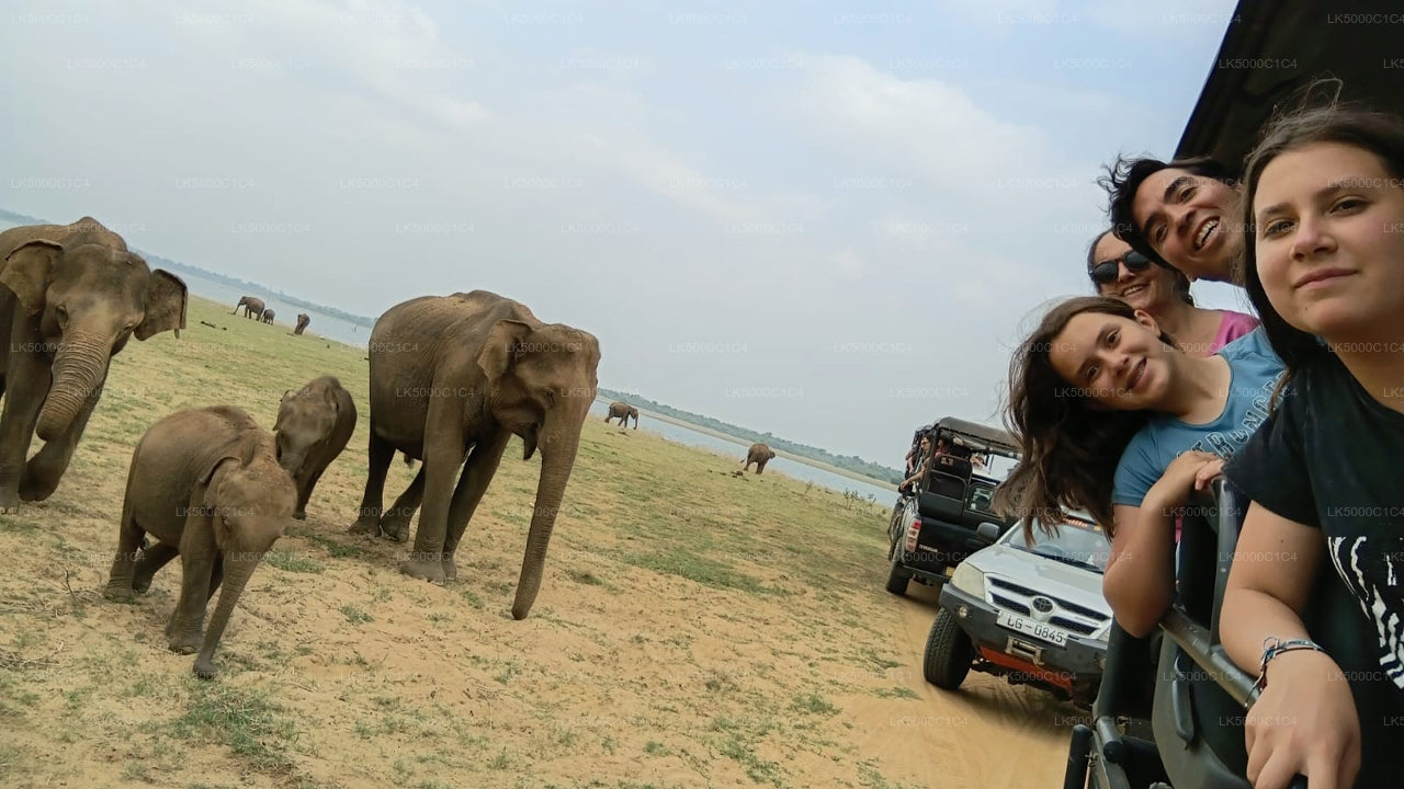 ウダワラウェ・サファリ付きエラからヒリケティヤへのプライベートツアー