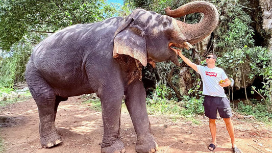 Man interacting with a large elephant in a natural setting