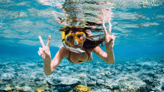 ベントータ発ウミガメとシュノーケリング