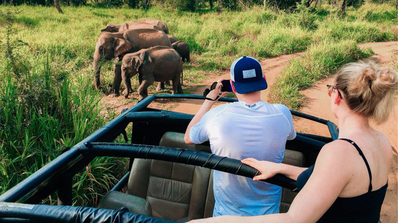 パシクダ発フルル エコ パーク サファリ日帰り旅行