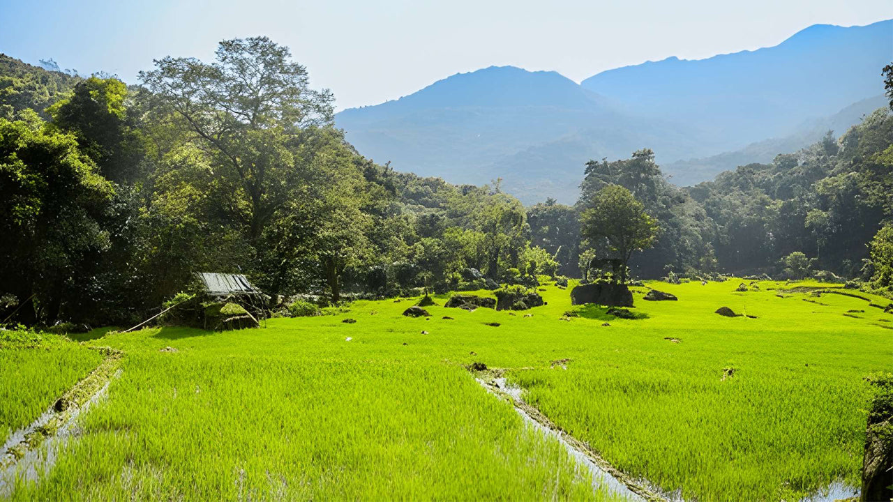セイロン1850によるスリランカの農業、宝石鉱山、村での体験
