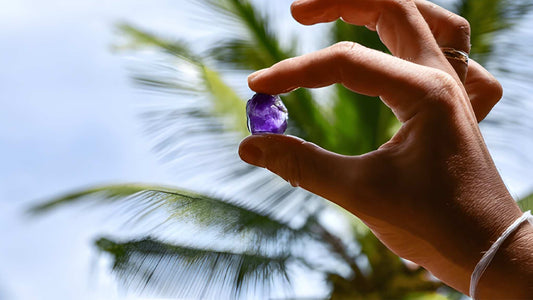 セイロン1850によるスリランカの農業、宝石鉱山、村での体験