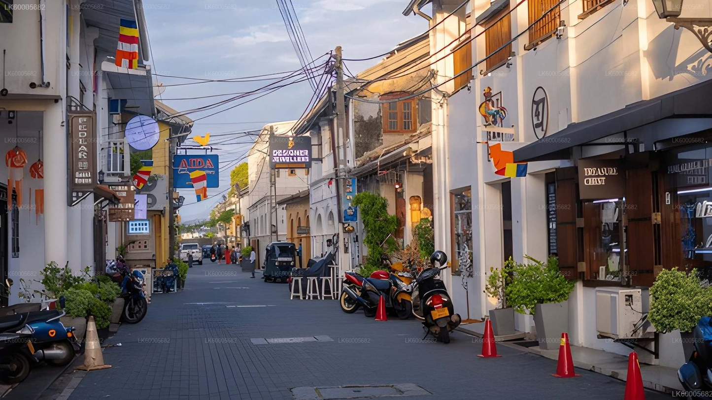 Private Tour from Colombo to Hambantota with Sightseeing Stops
