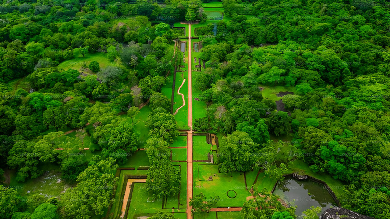 Sigiriya and Dambulla Cave from Bentota