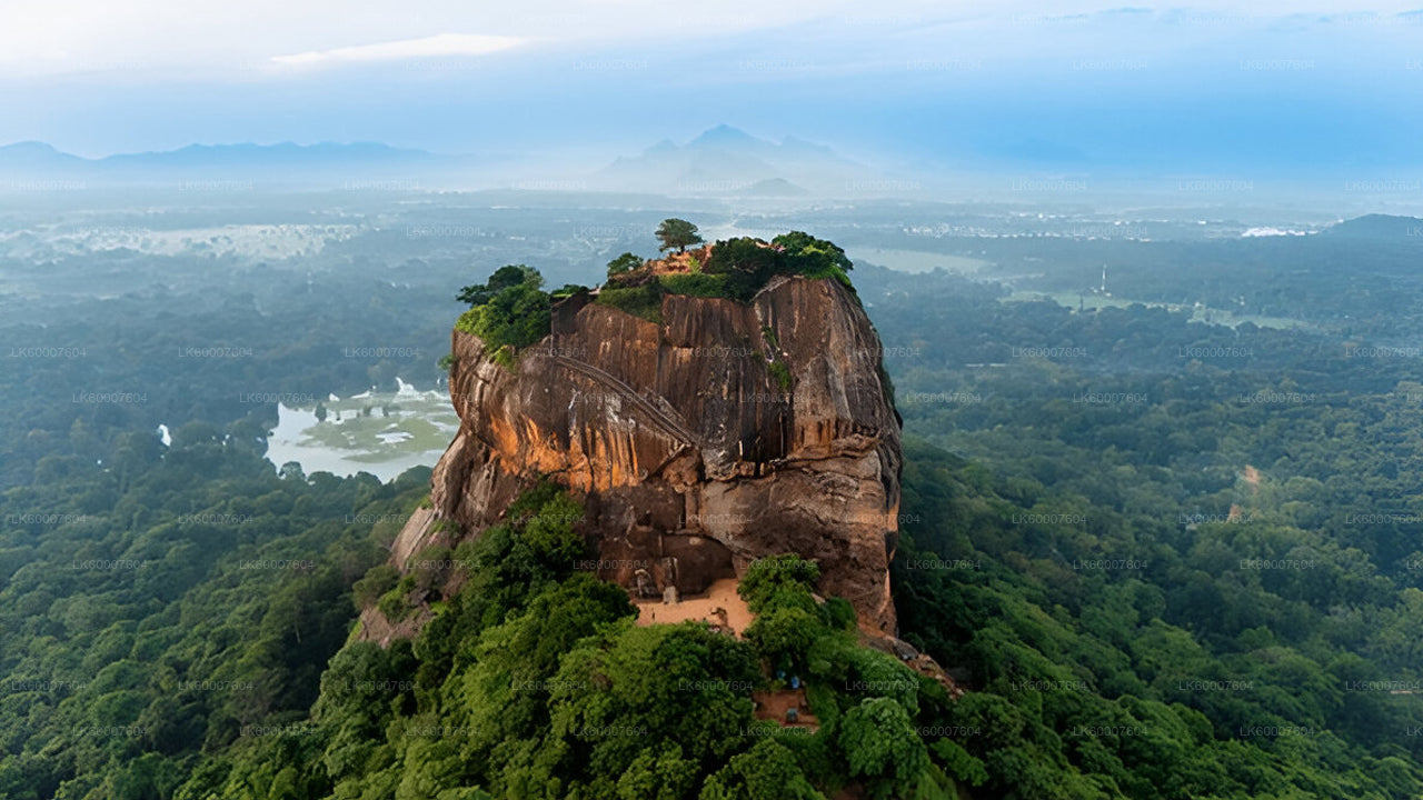 Sigiriya and Dambulla Cave from Bentota