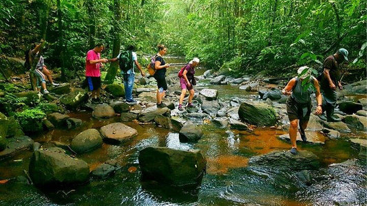 アハンガマ発シンハラジャ熱帯雨林日帰り旅行