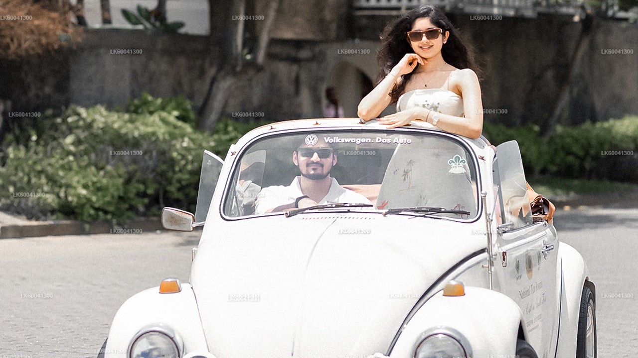 クラシックカーで行くゴール市と田園地帯ツアー