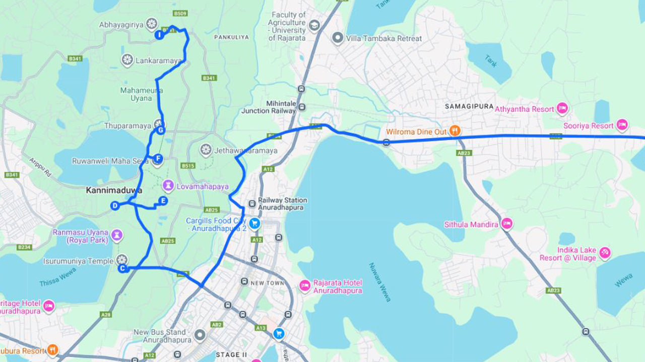 シギリヤから見た神聖な都市アヌラーダプラ