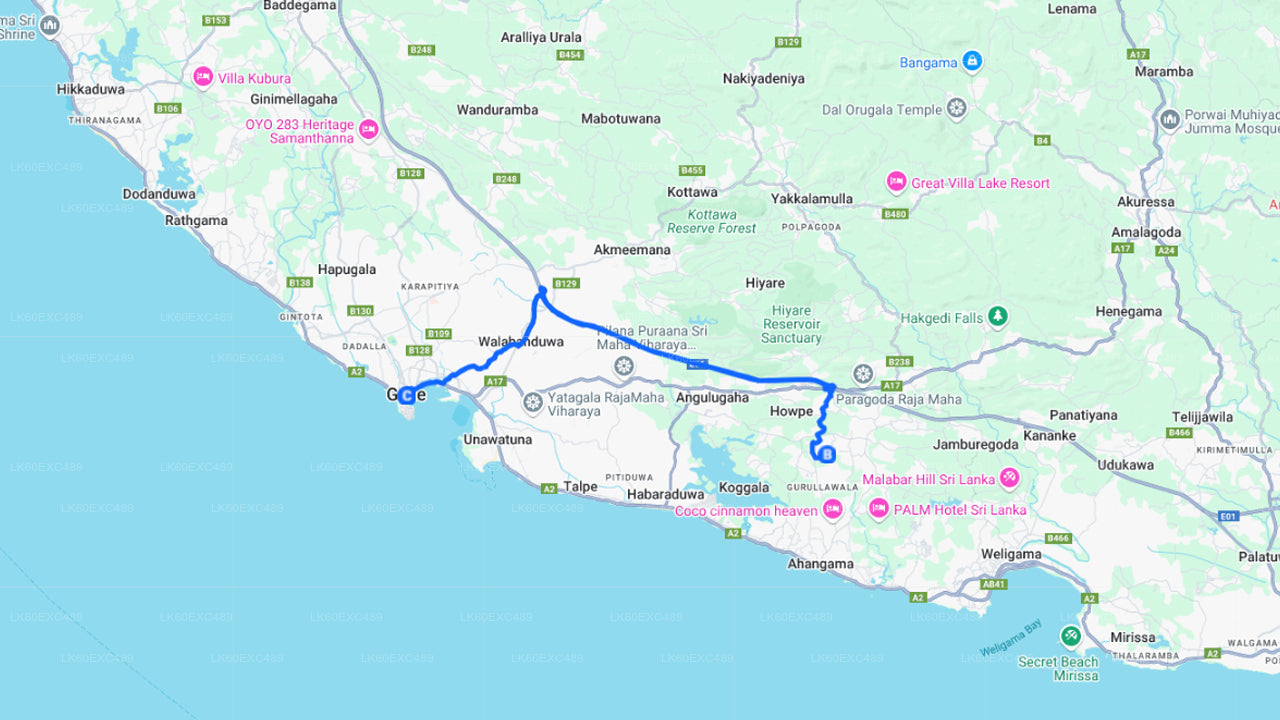 低地栽培茶工場見学とお茶の試飲体験
