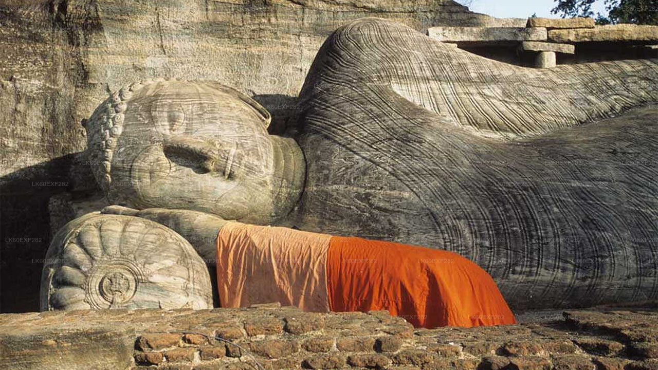 Sigiriya to Pasikudah Private Transfer with Polonnaruwa Ancient City Tour