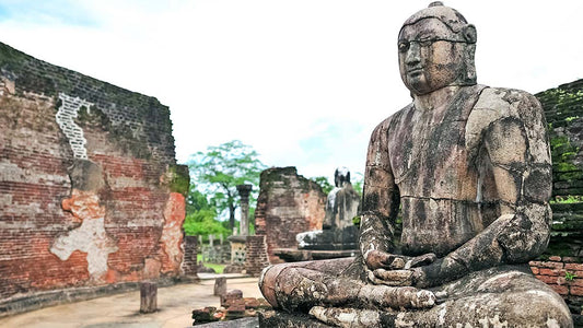 シギリヤからパシクダへのプライベート送迎、ポロンナルワ古代都市ツアー付き