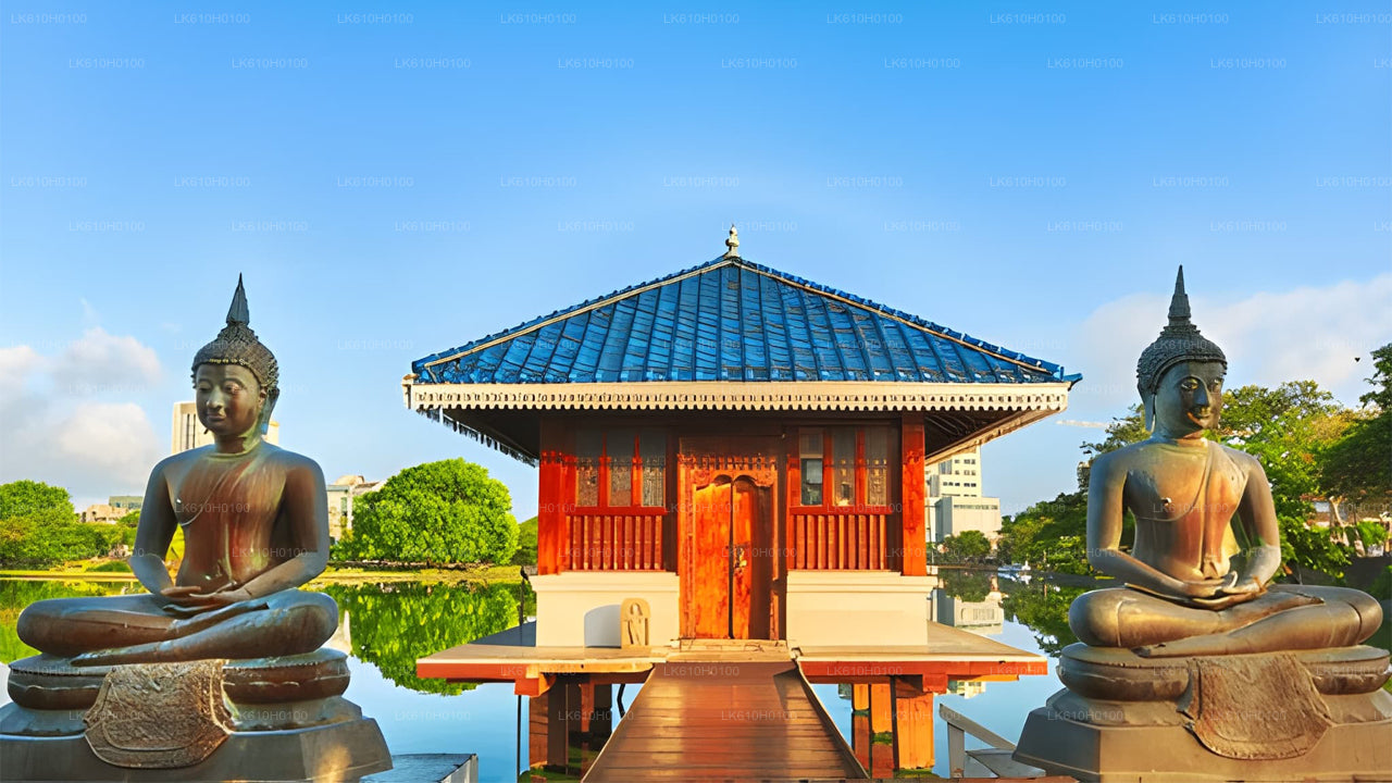 アフンガラ発コロンボ市内観光