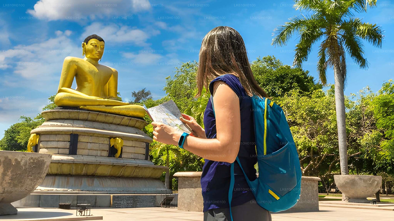 コロンボ港発コロンボシティツアー