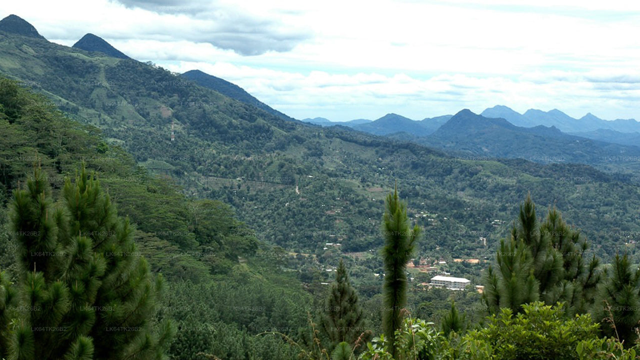 シンハラジャ熱帯雨林からライオンズロックへのトレッキング