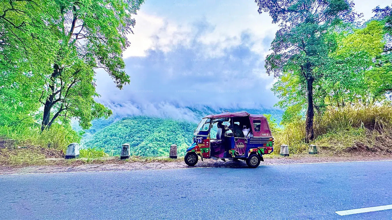 ゴール発サウスコーストトゥクトゥクサファリ