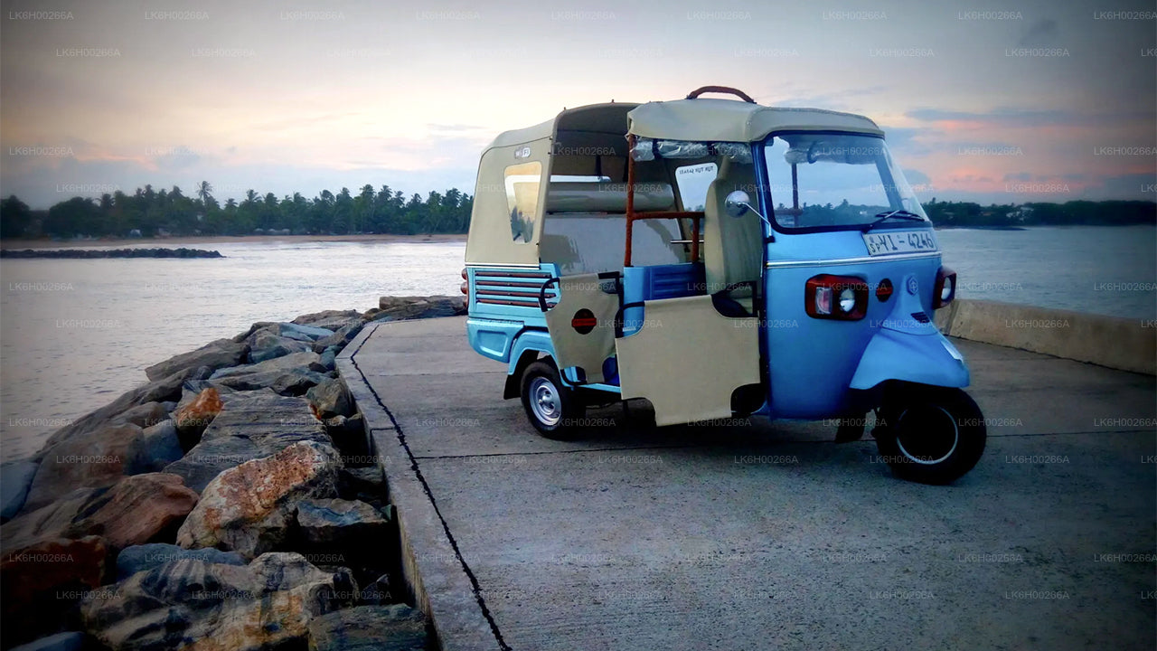 ゴール発サウスコーストトゥクトゥクサファリ