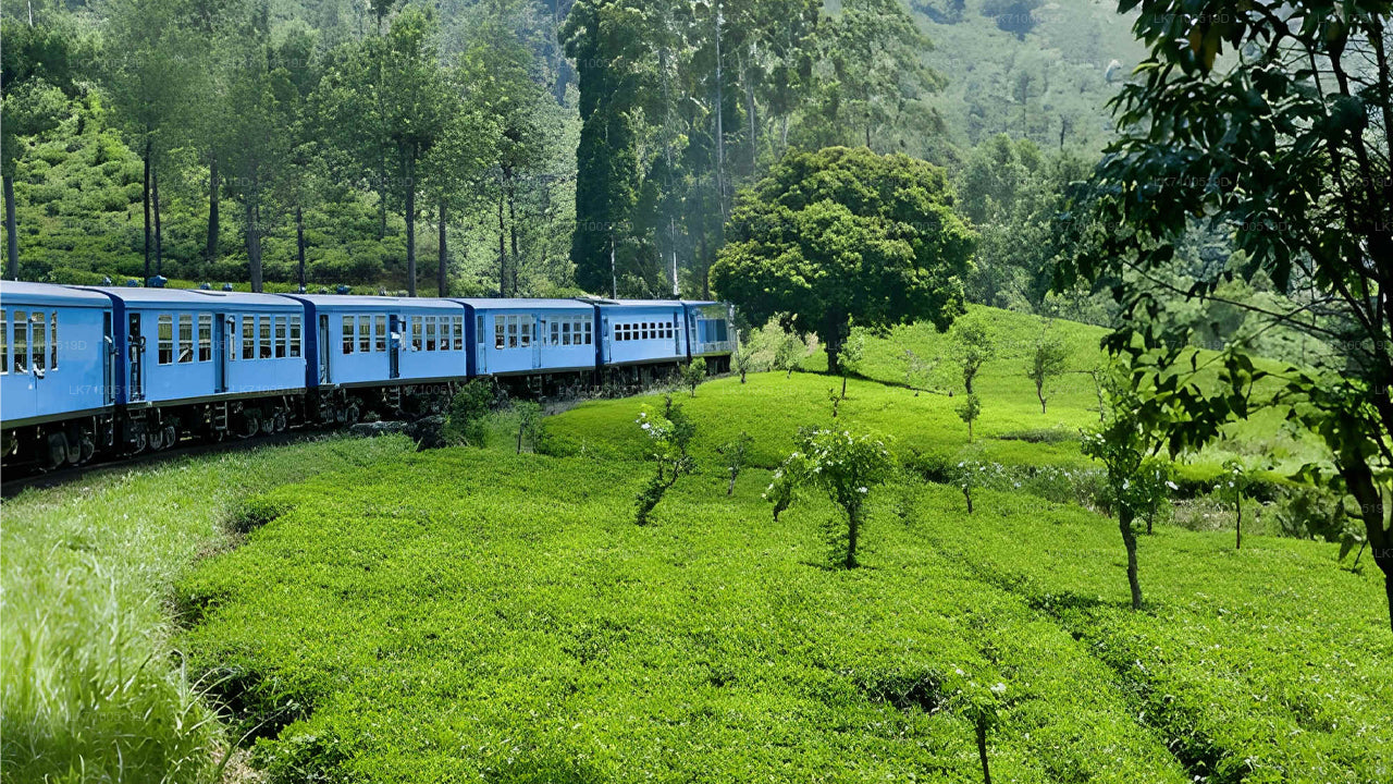 アンベウェラからエラへの列車の乗車（列車番号1005/1015）
