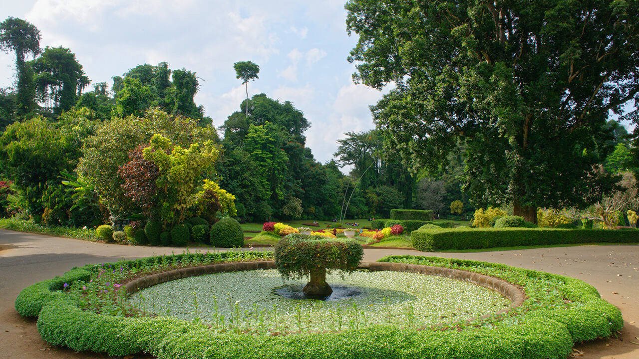 ペラデニヤ植物園入場券