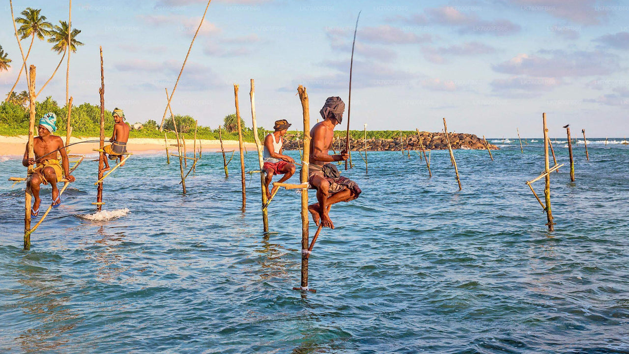 ゴール発の釣りツアー