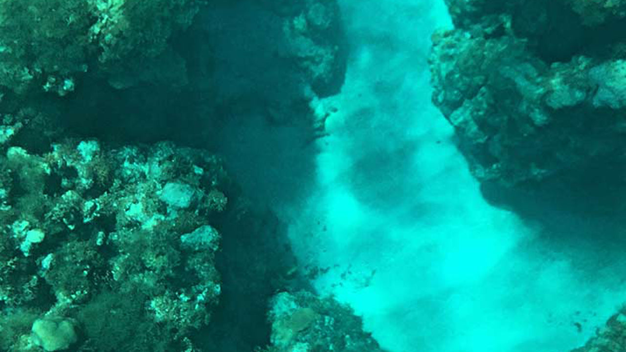 Glass Bottom Boat Ride from pasikuda
