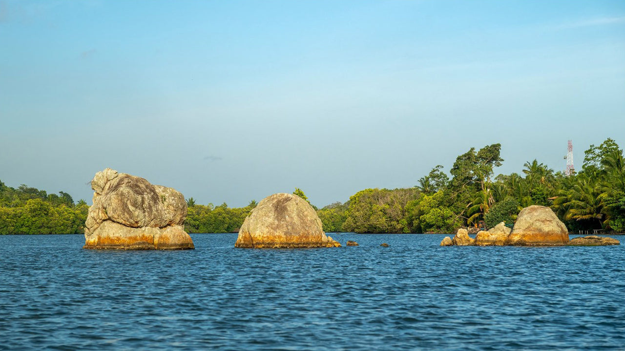 Bird Watching from Koggala Lake