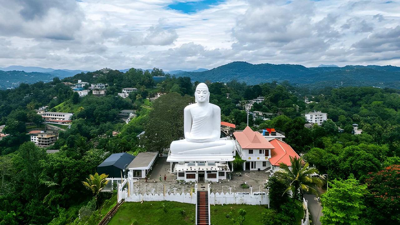 コロンボ発ヘリコプターでキャンディを発見