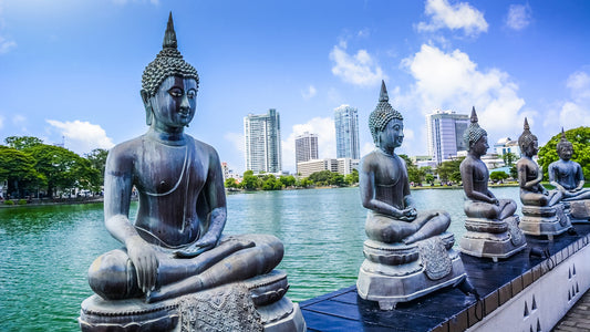 Row of Buddha statues by a body of water with city skyline in the background
