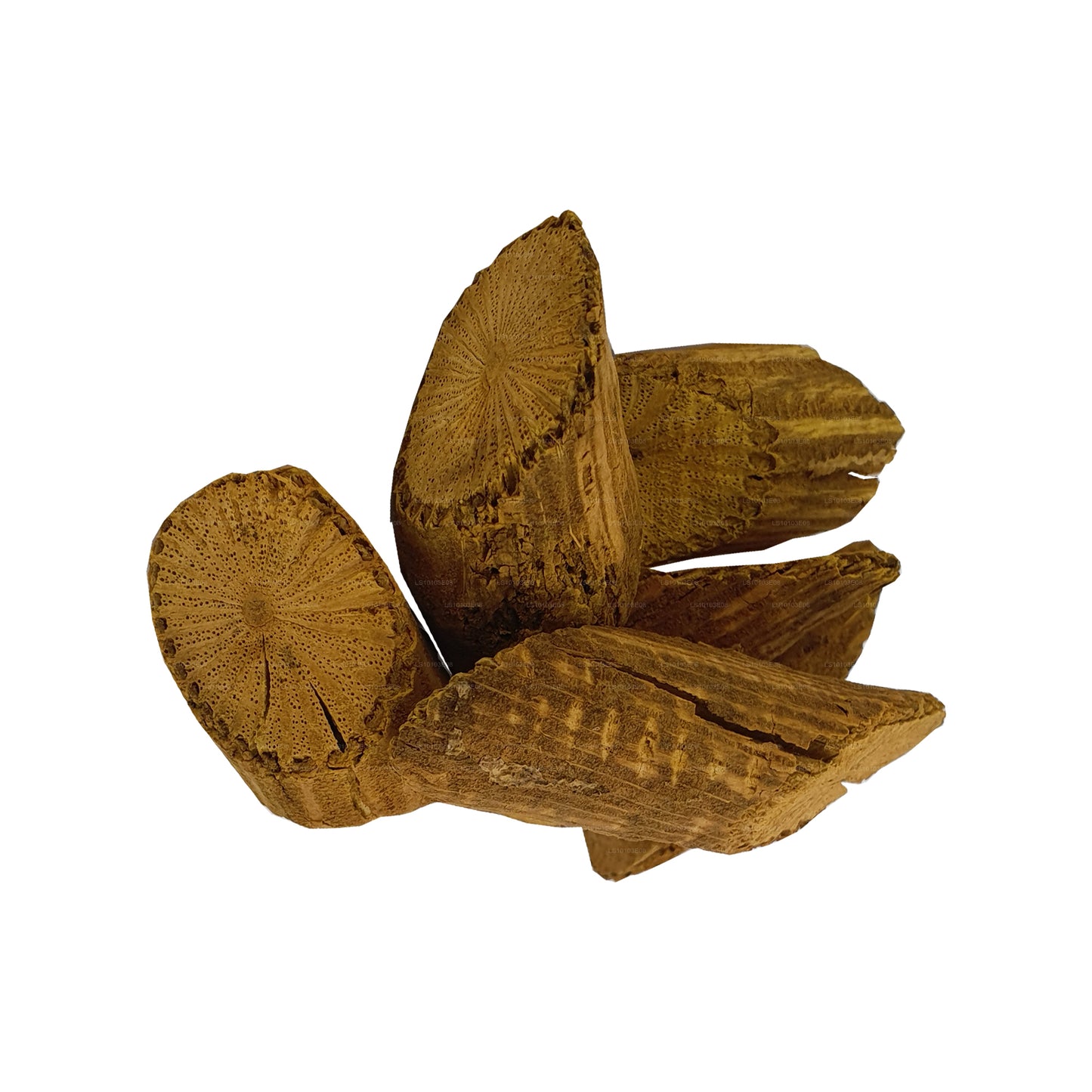 Lakpura Venivelgeta Barks