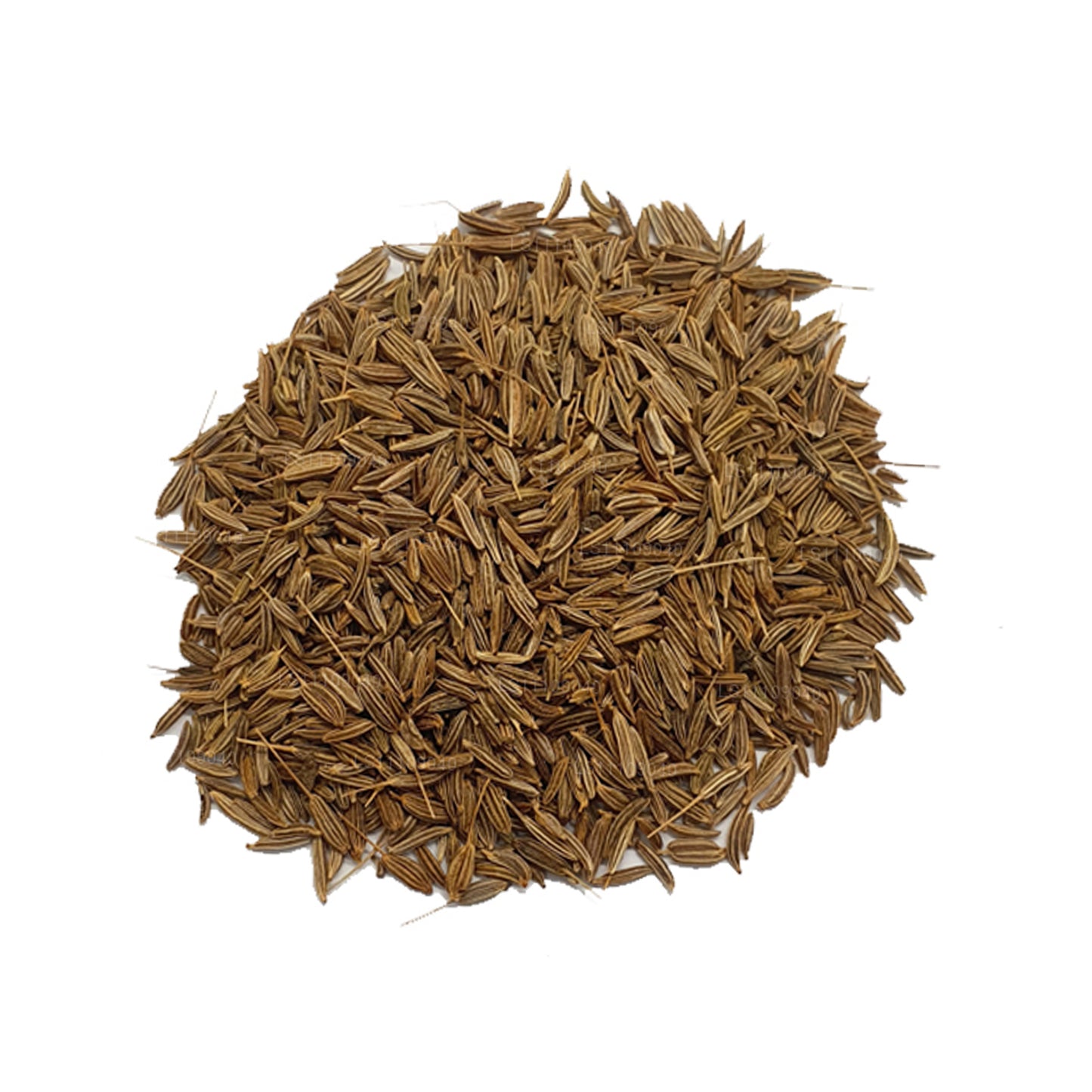 ラックプラ フェンネルシード ホール (250g)