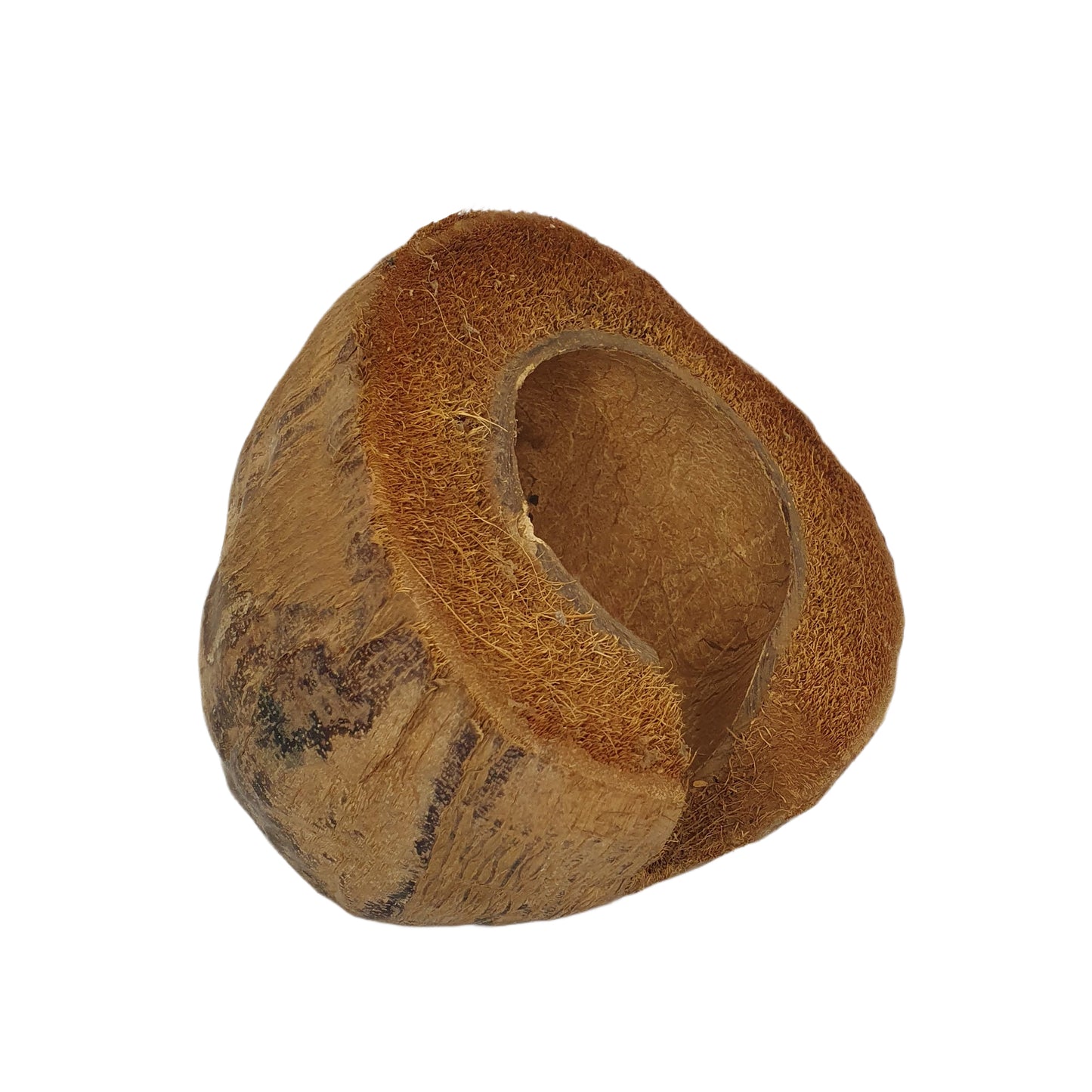 ビベンロナチュラル 3/4 ココアハイドアウトハスクデザイン (フリーサイズ)