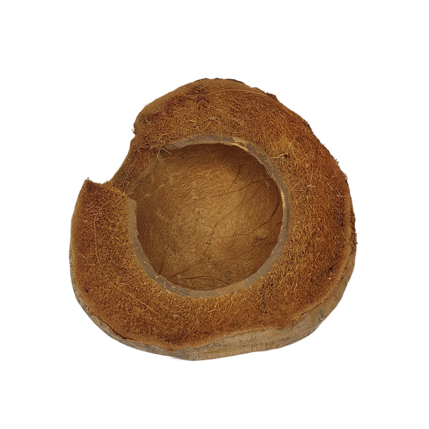 ビベンロナチュラル 3/4 ココアハイドアウトハスクデザイン (フリーサイズ)