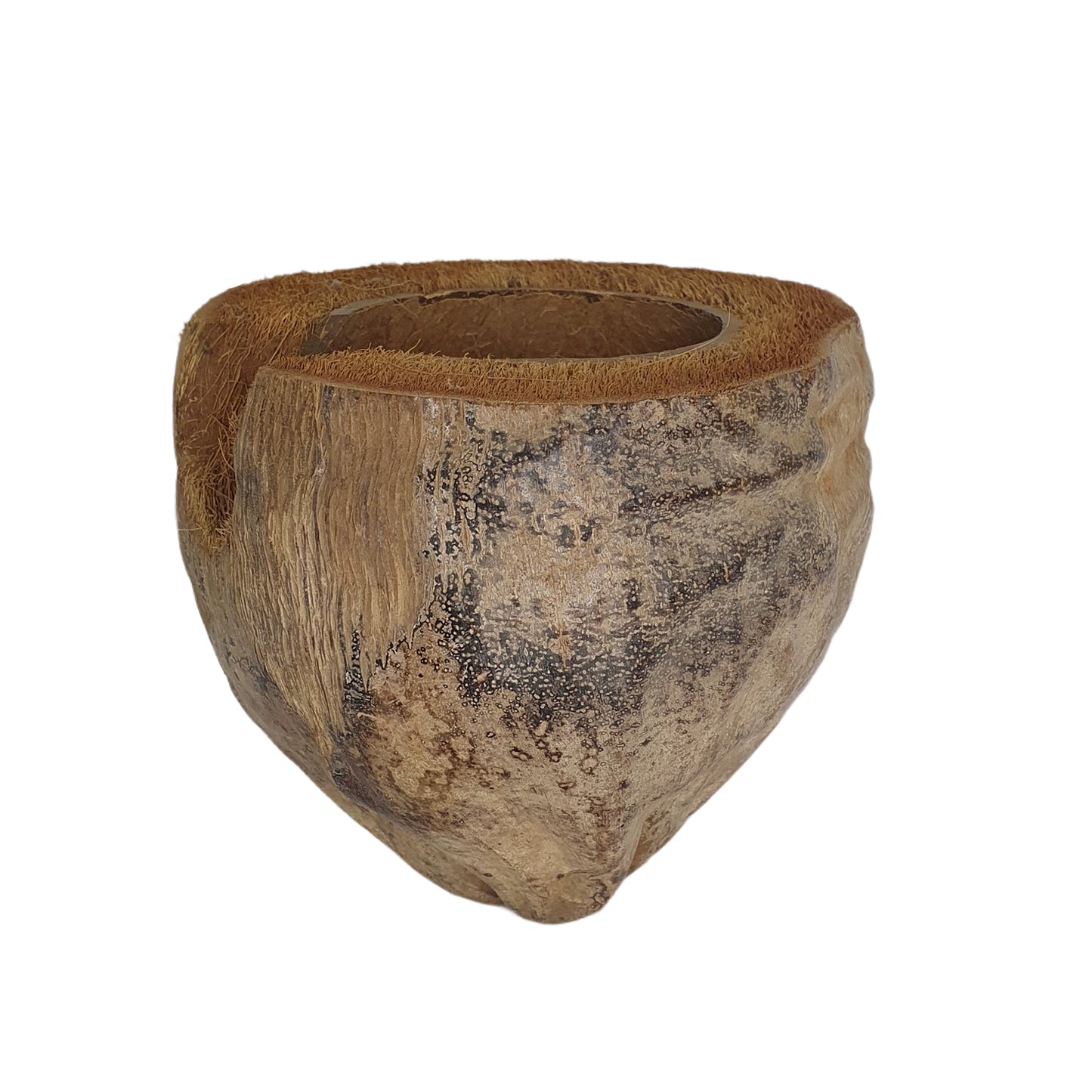 ビベンロナチュラル 3/4 ココアハイドアウトハスクデザイン (フリーサイズ)