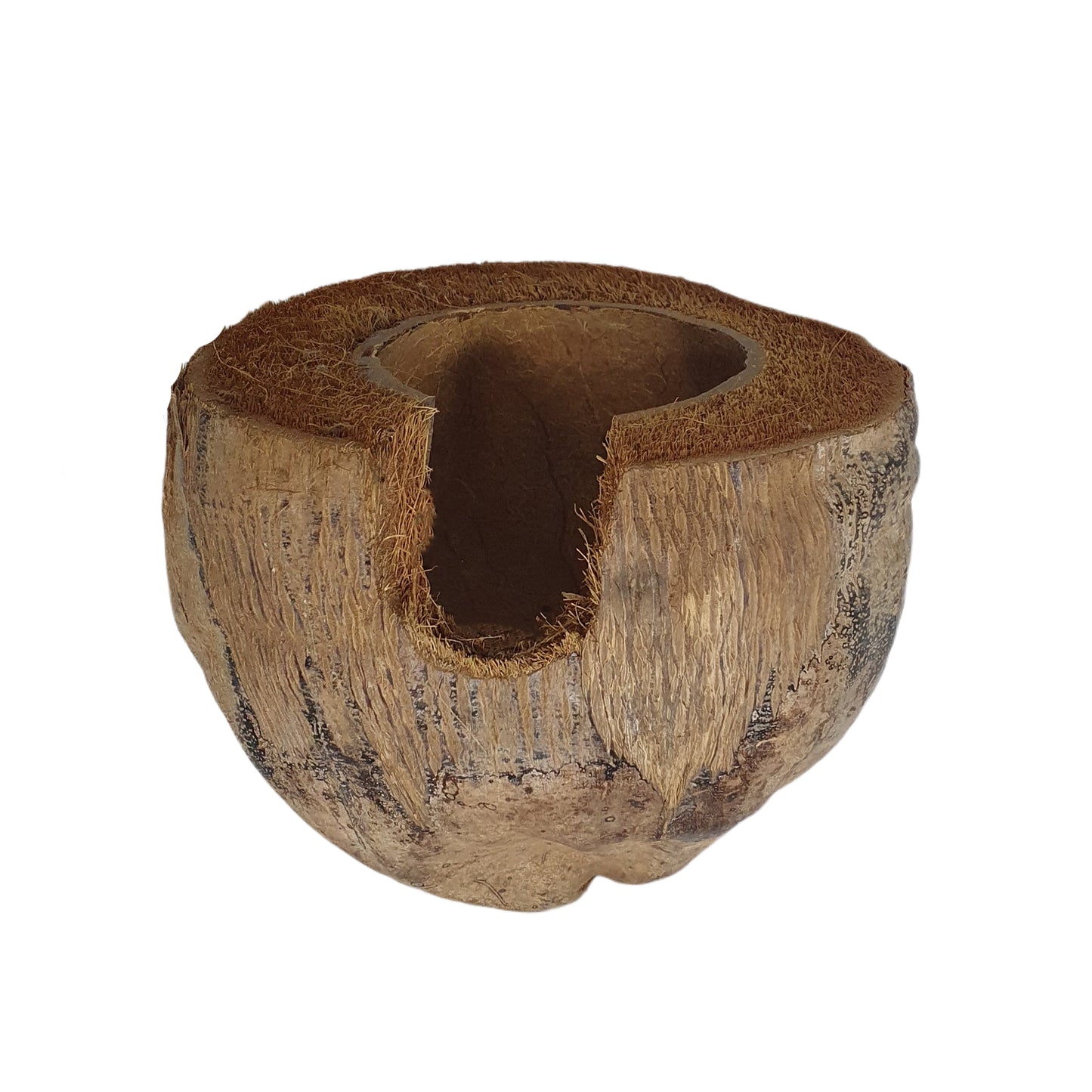 ビベンロナチュラル 3/4 ココアハイドアウトハスクデザイン (フリーサイズ)