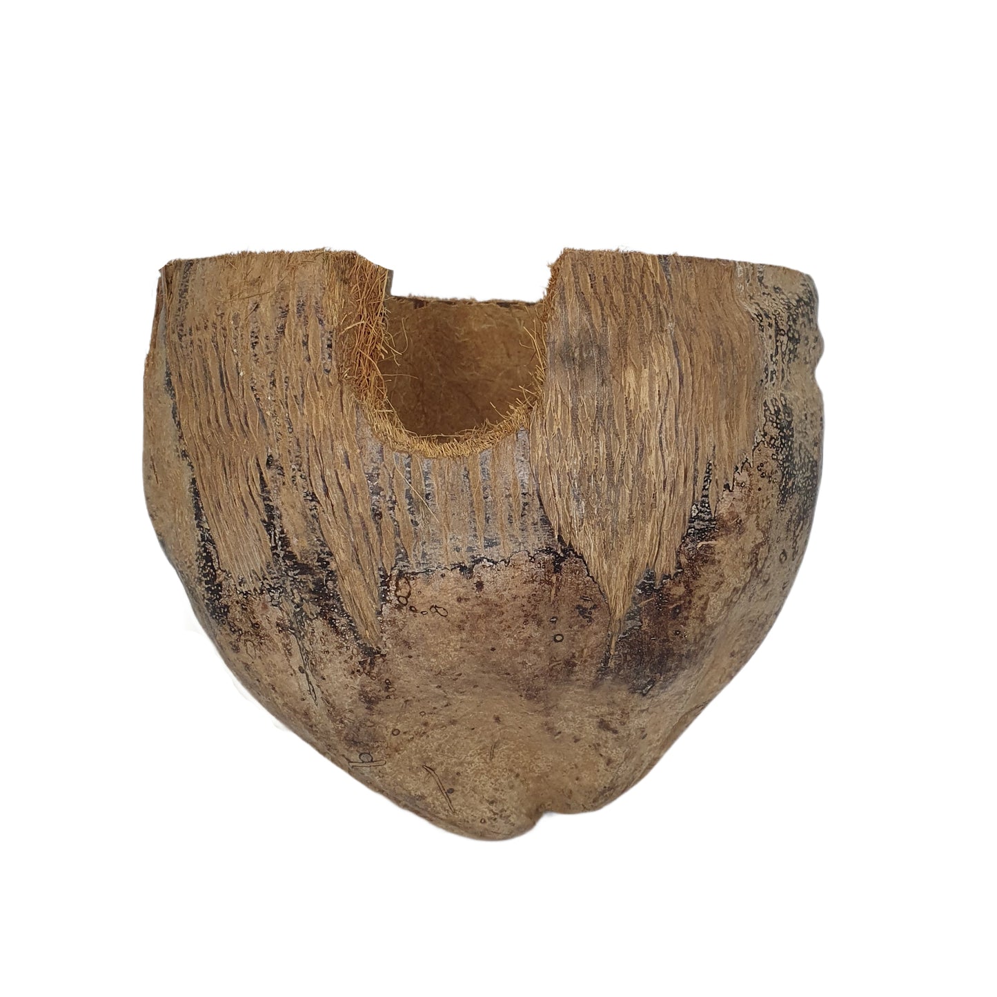 ビベンロナチュラル 3/4 ココアハイドアウトハスクデザイン (フリーサイズ)