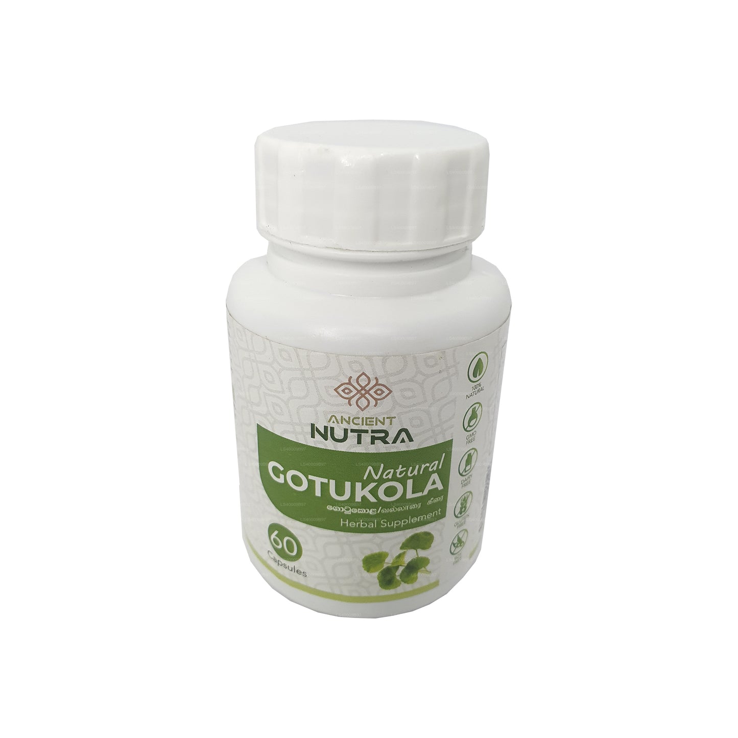 Ancient Nutra Gotukola (60 capsules)