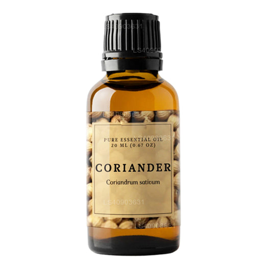ラクプラコリアンダーエッセンシャルオイル (20ml)
