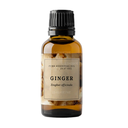 ラクプラジンジャーエッセンシャルオイル (15ml)