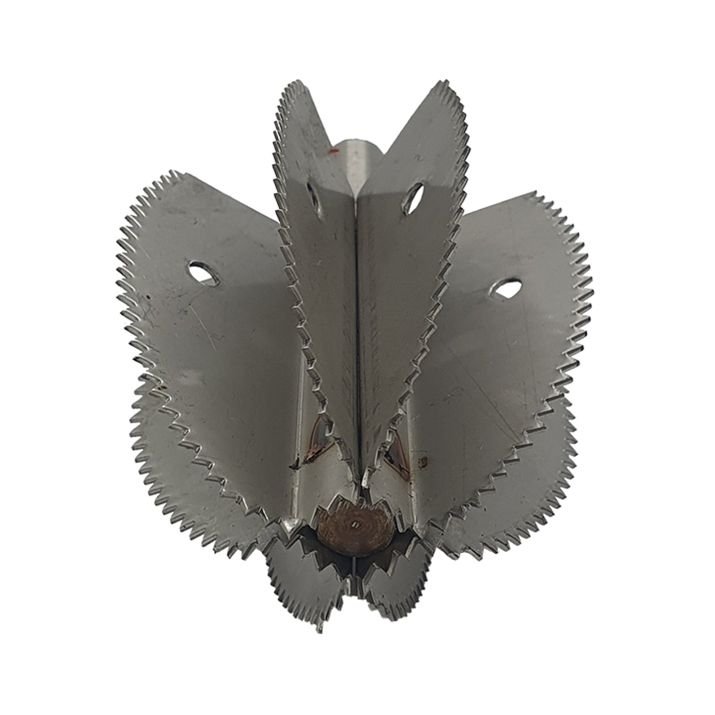 Odiris ココナッツスクレーパー交換用ブレード (5.5cm)