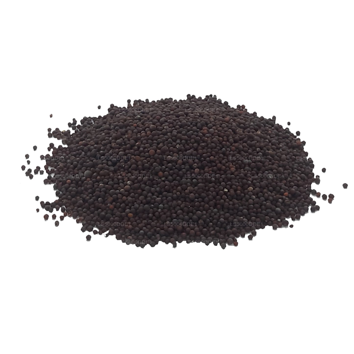 ラクプラマスタードシード (100g)