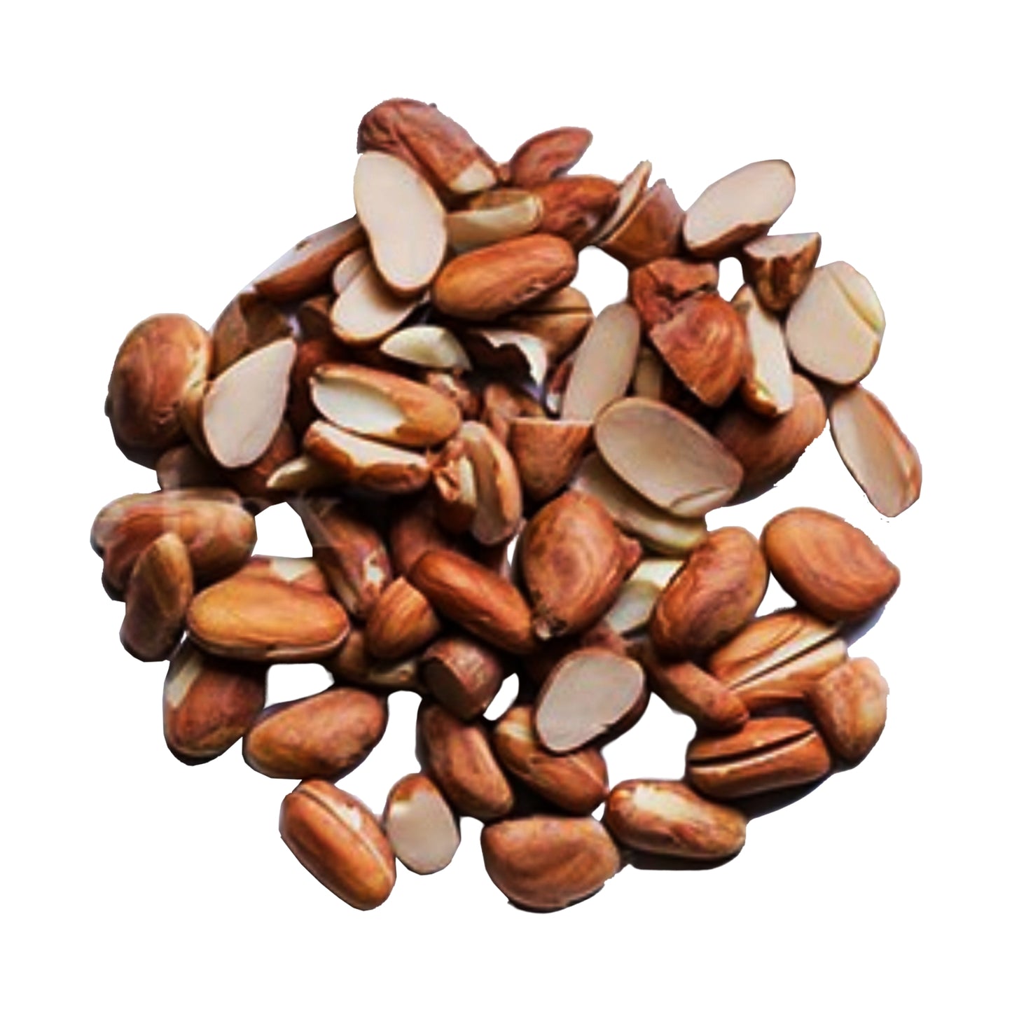 ラックプラ 乾燥パラミツの種子 (100g)