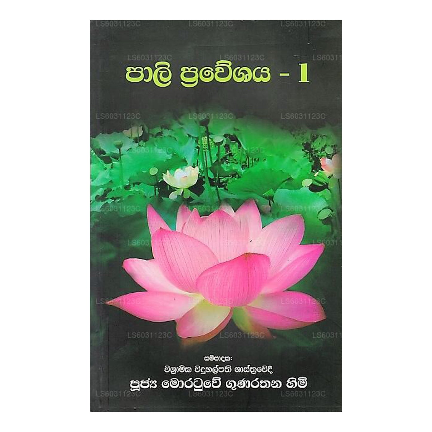 パーリ プラヴェシャヤ-01 