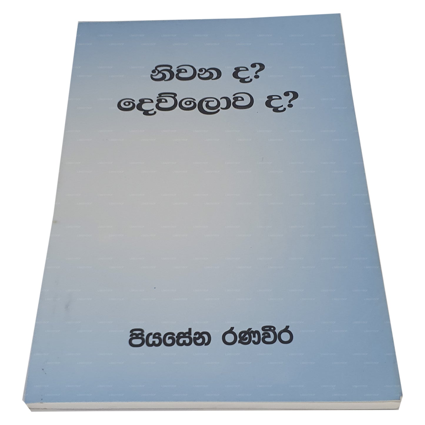 庭灘？デュロワダ？ 