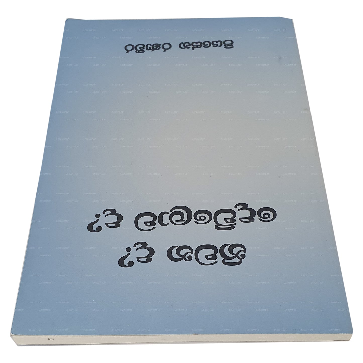 庭灘？デュロワダ？ 