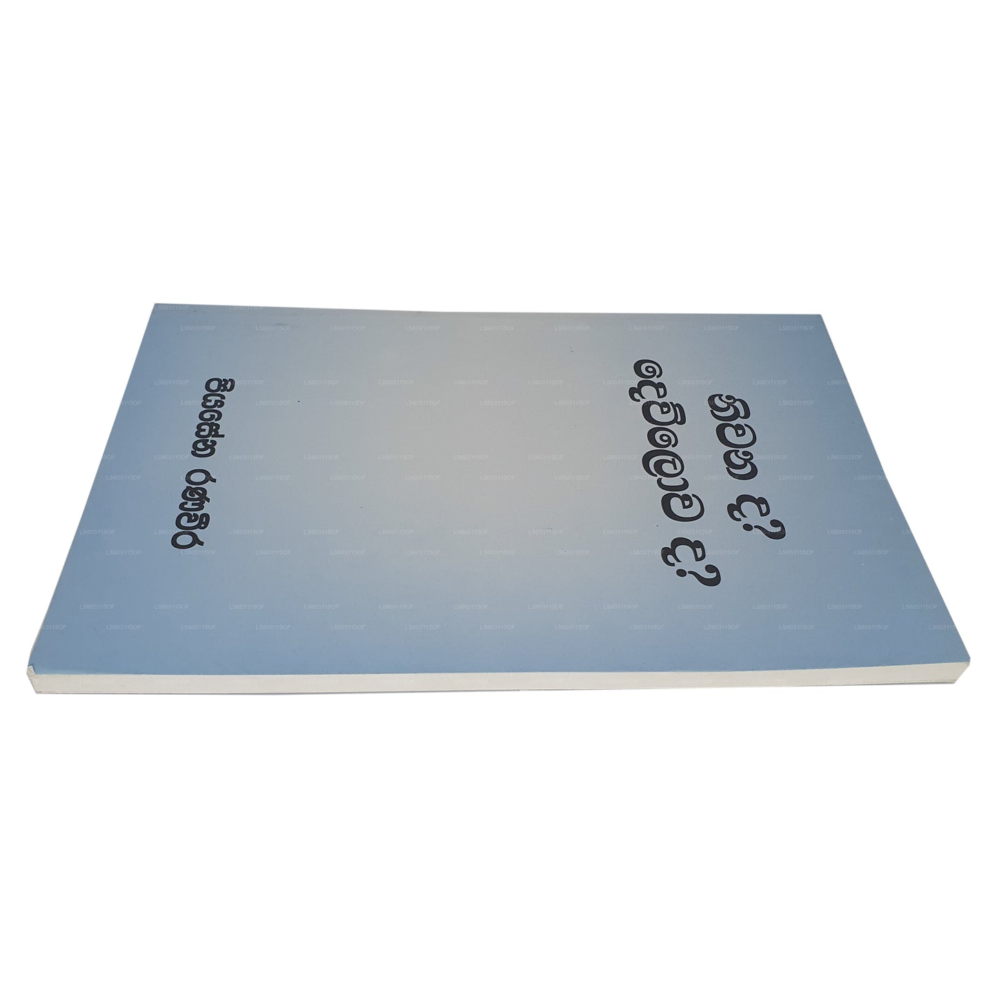 庭灘？デュロワダ？ 