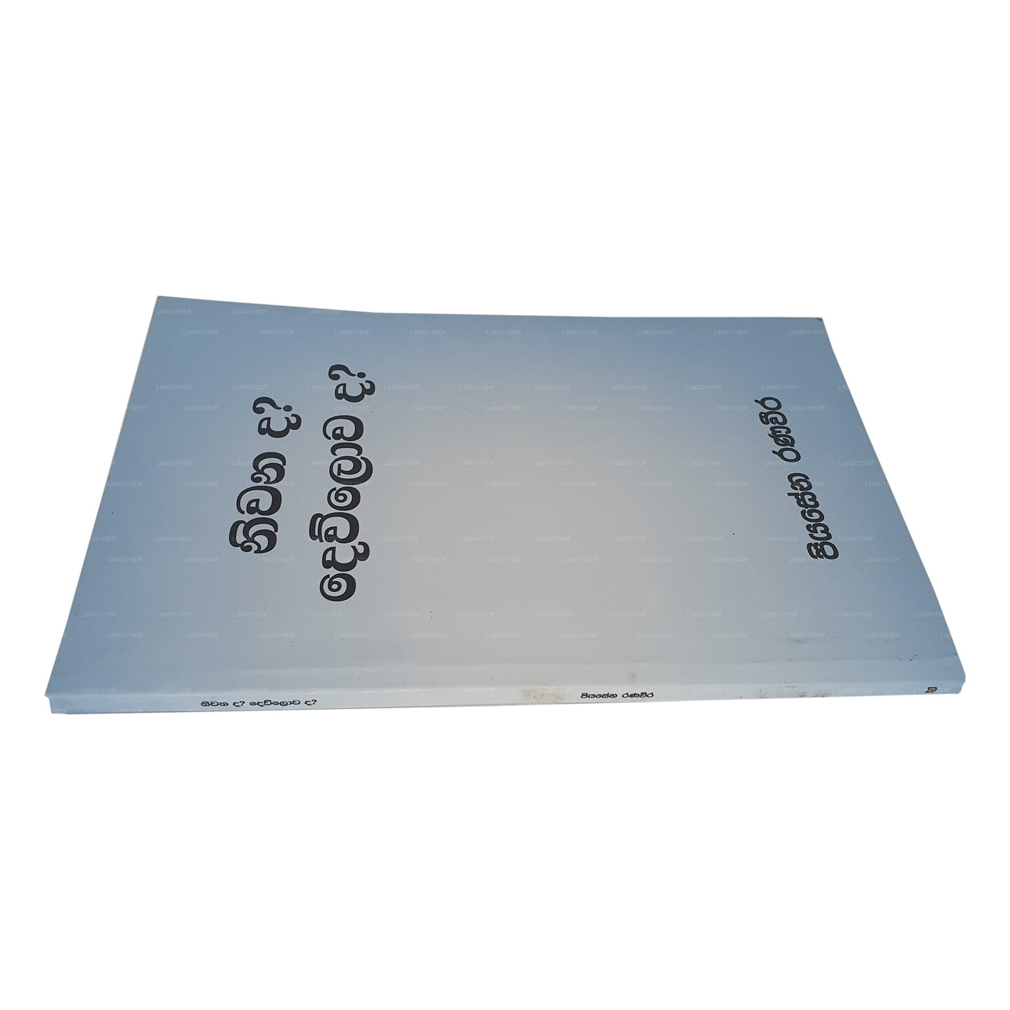 庭灘？デュロワダ？ 